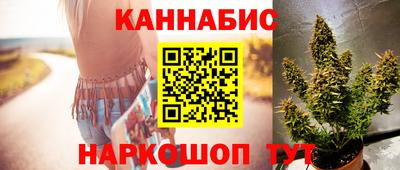 гашик Кулебаки