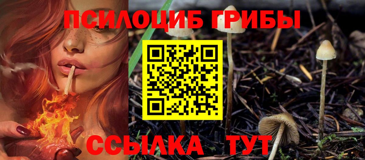 Галлюциногенные грибы Cubensis  Вход с VPN  Псилоцибиновые грибы Magic Shrooms  Калининград 